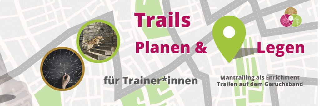 Online Fortbildung zum Thema Trails planen und legen - speziell für Mantrailing Trainer*innen. Astrid Sperlich - INNsider Mantrailing